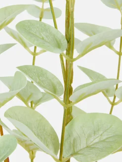 Eucalyptus Artificiel à Tige Unique