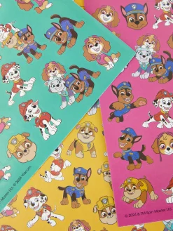 Pochette De 500 Autocollants PAW Patrol