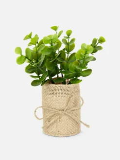 Succulente Artificielle Dans Un Pot En Jute