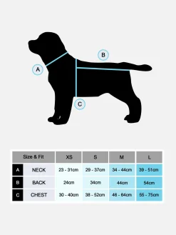 Tenue Citrouille Halloween Pour Animal De Compagnie